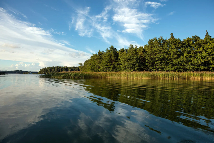 より気候に優しい食の生産方法の開発