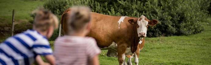 Animal health and welfare