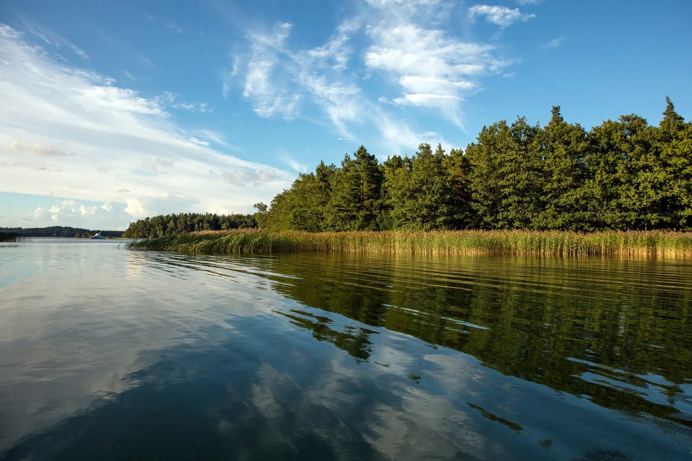 Model.ImageDescription