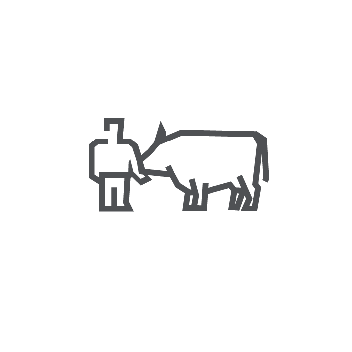 Model.ImageDescription