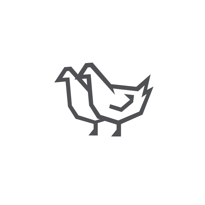 Model.ImageDescription