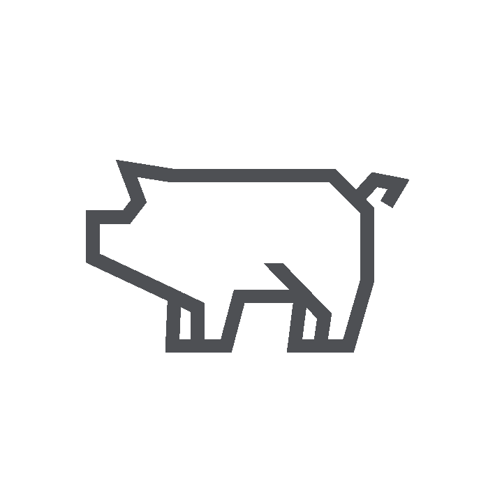 Model.ImageDescription