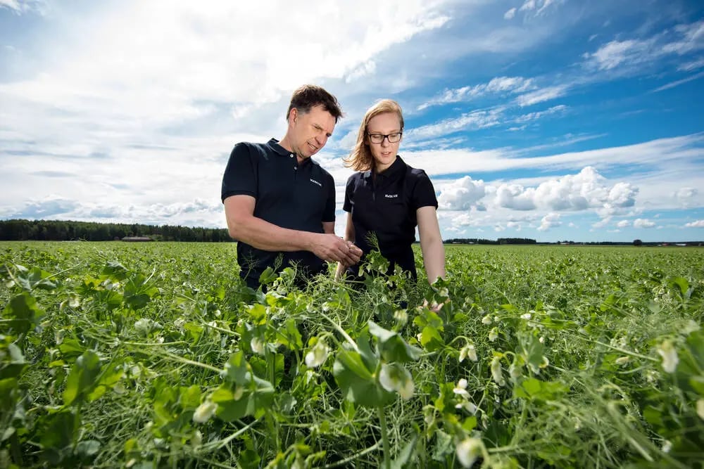 Model.ImageDescription